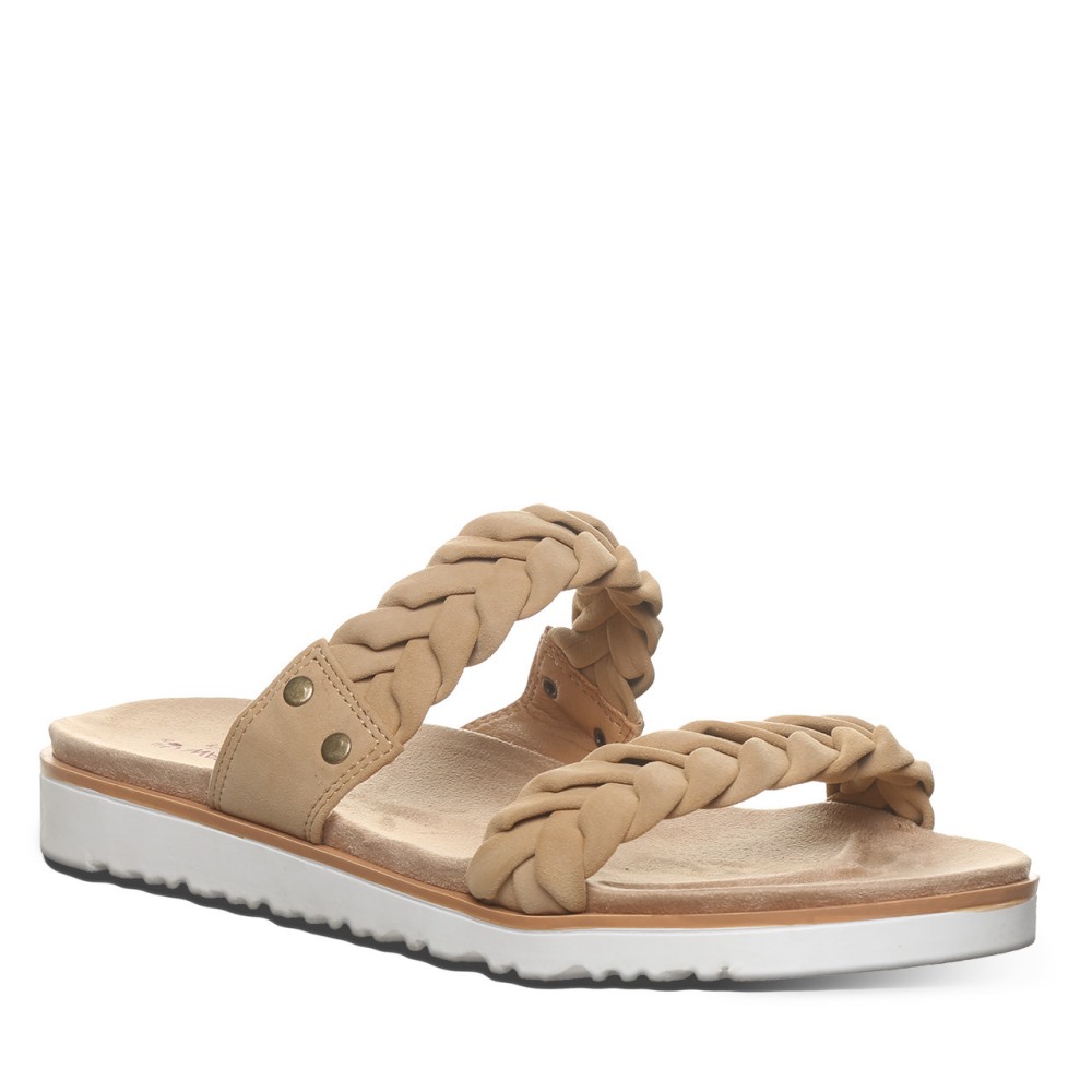 Bearpaw Thessa Iced Coffee