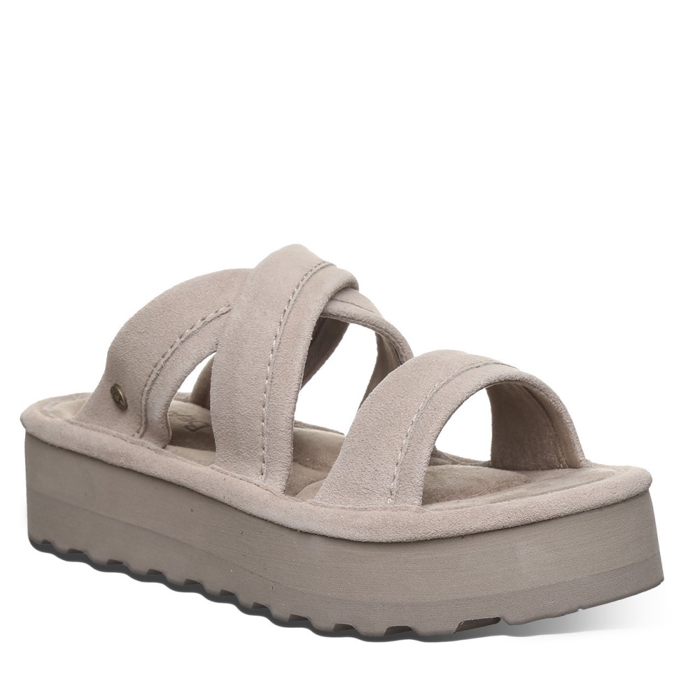 Bearpaw Altitude Mushroom