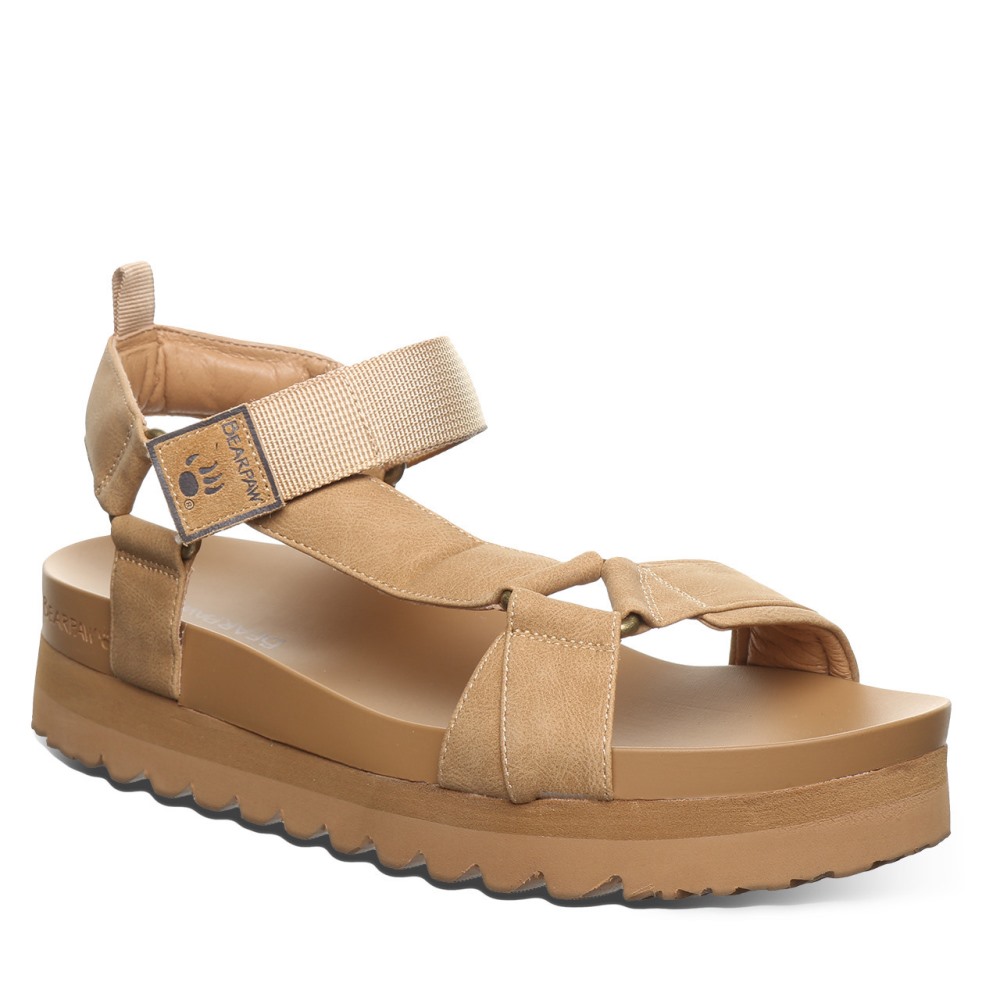 Bearpaw Hydra Iced Coffee