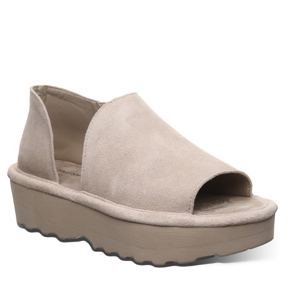 Bearpaw Sail Mushroom