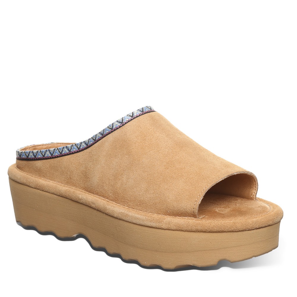 Bearpaw Navigate Iced Coffee