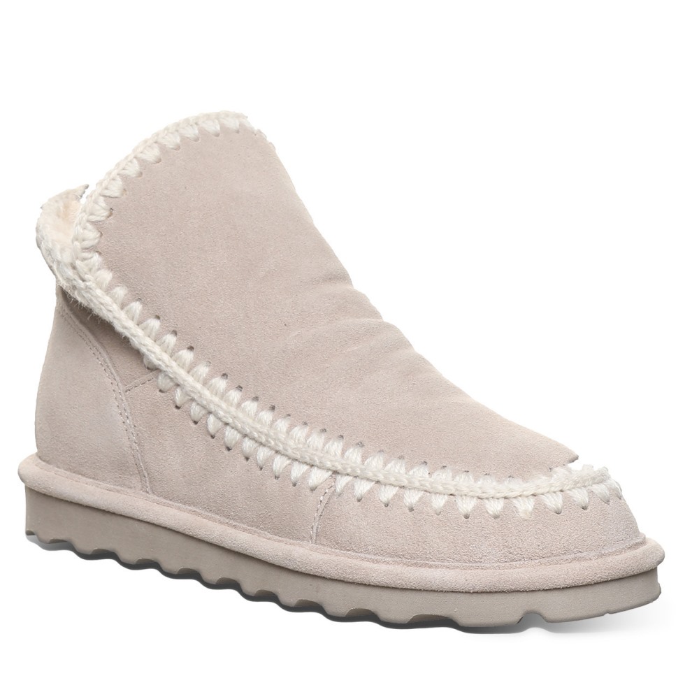 Bearpaw Winter Mushroom