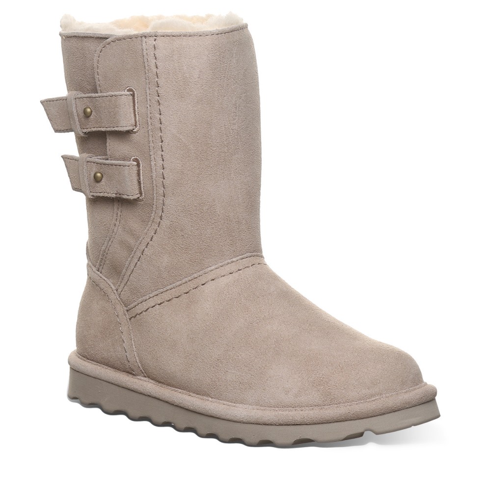 Bearpaw Aurelia Mushroom