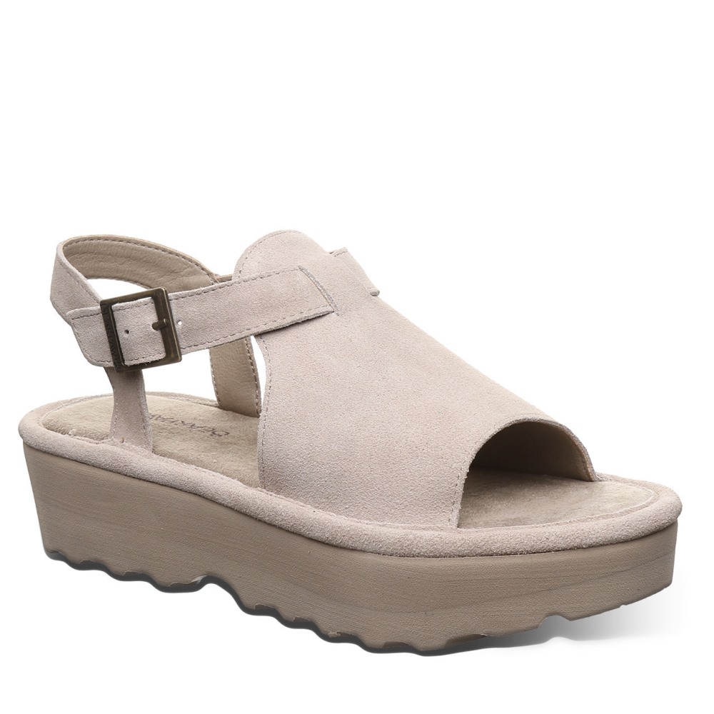 Bearpaw Ascend Mushroom