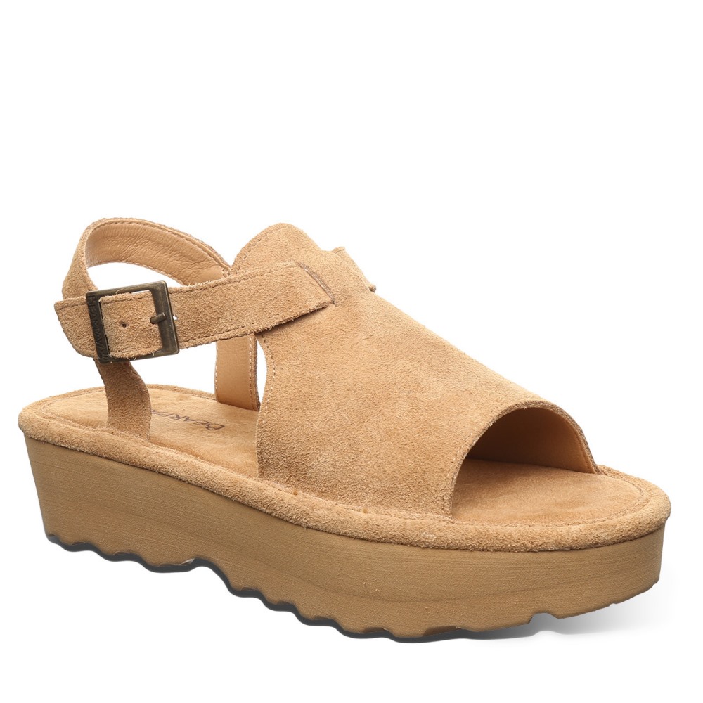 Bearpaw Ascend Iced Coffee