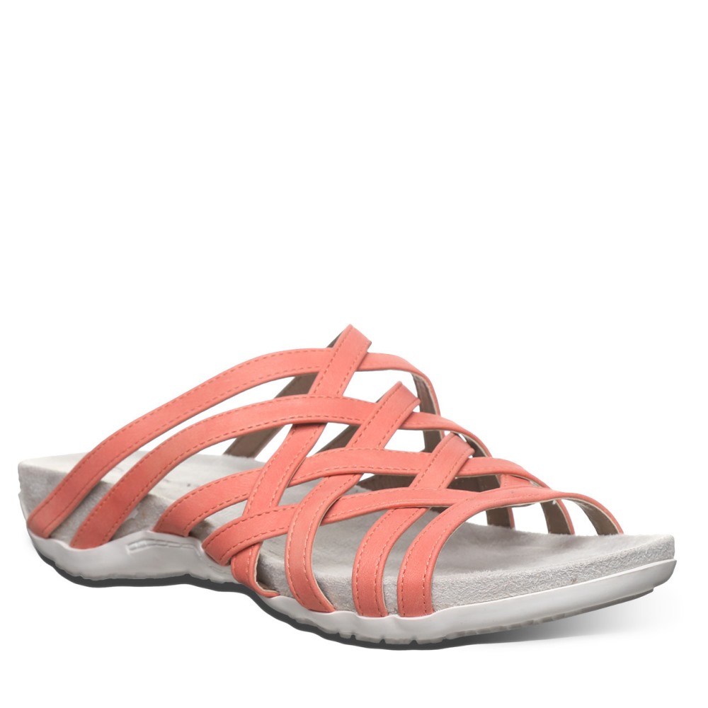 Bearpaw Zinnia Coral